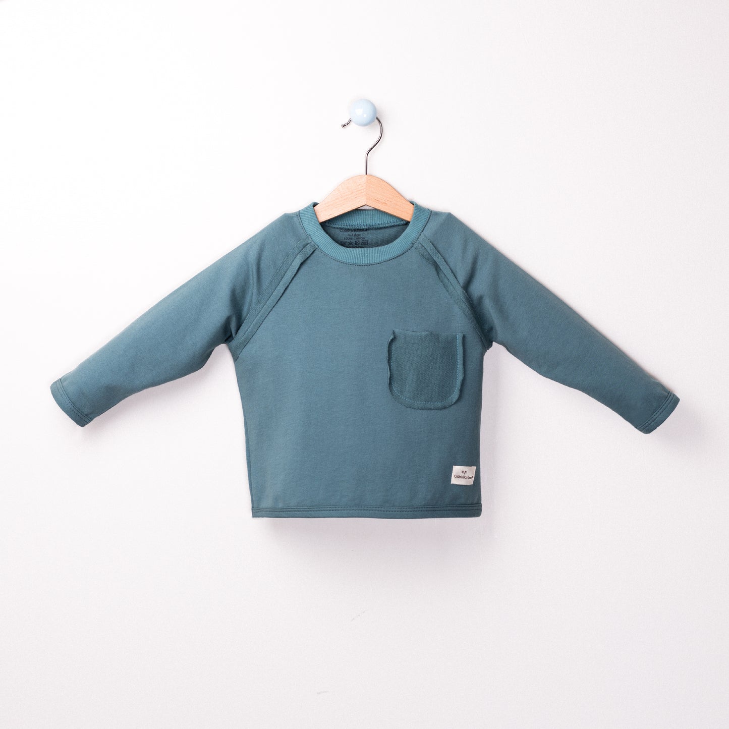Back Printed sweatshirt Aged 1 Yrs to 9 Yrs- Colored Petroleum