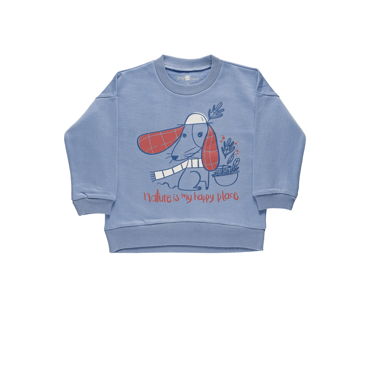 Organic cotton Grow Sweatshirt - Aged 6m to 5 Yrs- Colored Light Blue