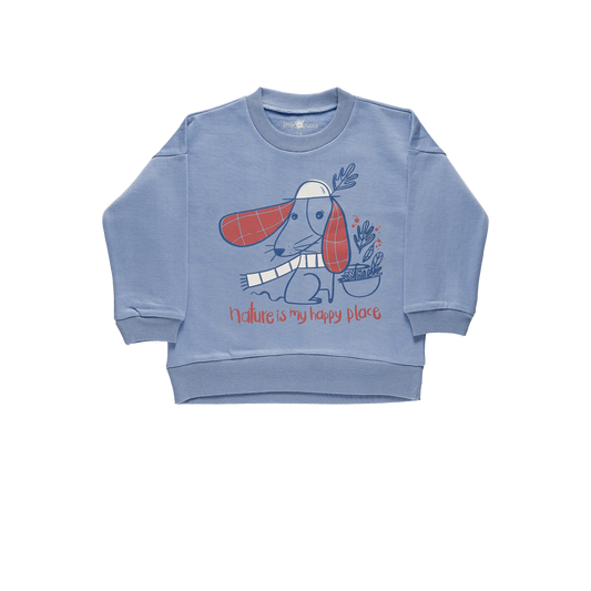 Organic cotton Grow Sweatshirt - Aged 6m to 5 Yrs- Colored  Light Blue