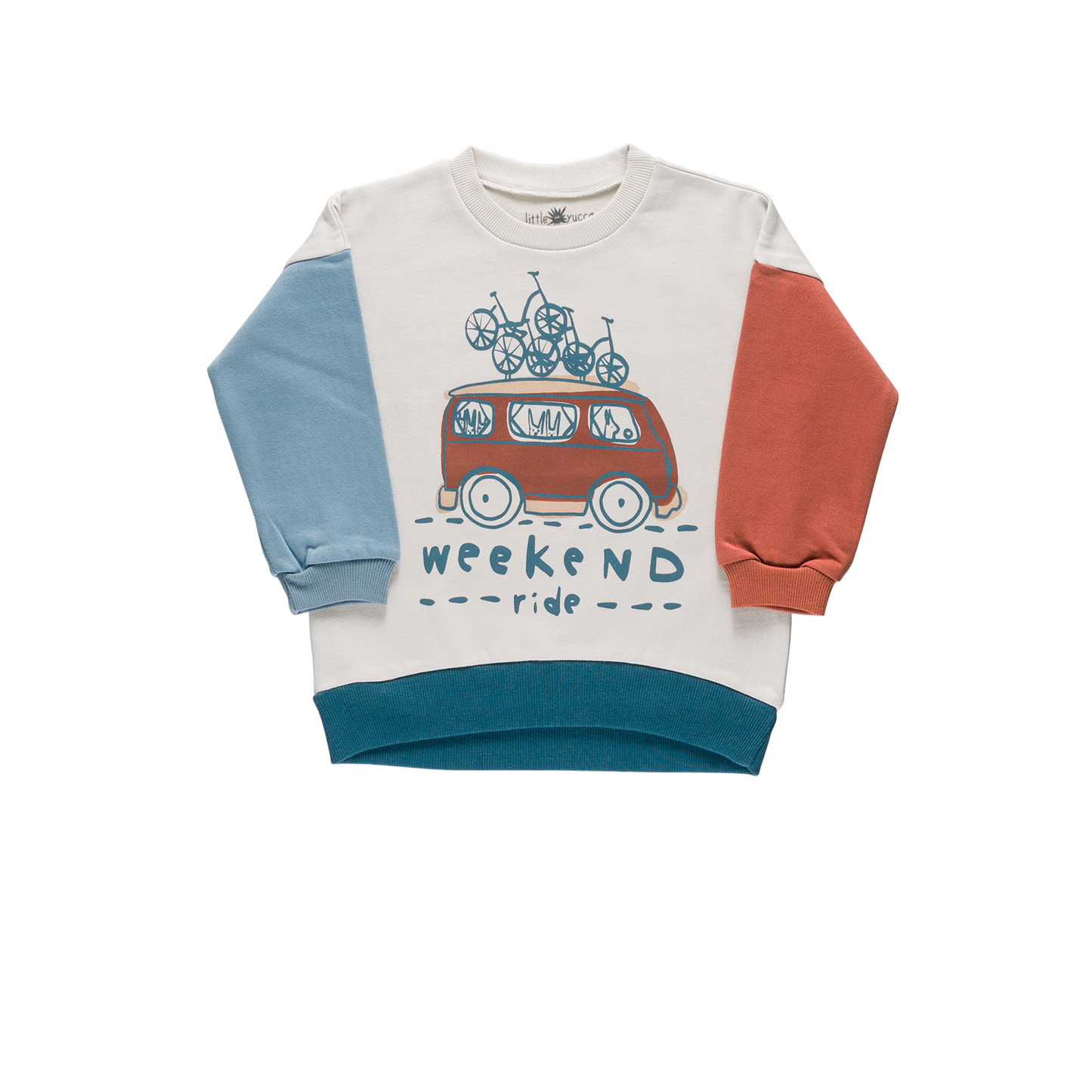 Organic cotton Grow Sweatshirt - Aged 6m to 5 Yrs- Colored Light Grey-Terracotta-Light Blue-Blue