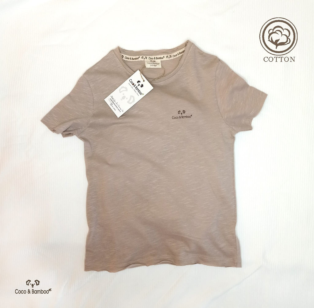 Basic T-shirt -Aged 2 Years to 8 Years- Colored Stone