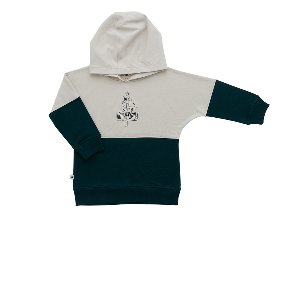 Hooded Sweatshirt for boys