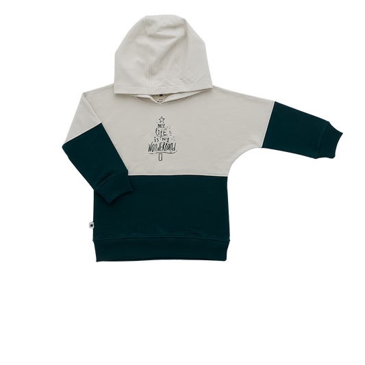 Hooded Sweatshirt for boys
