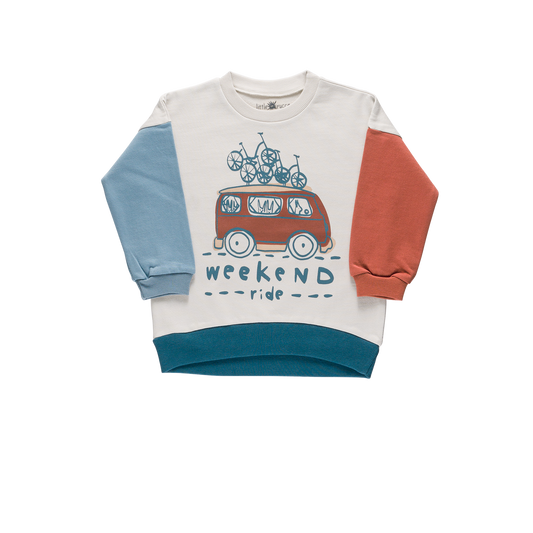 Organic cotton Grow Sweatshirt - Aged 6m to 5 Yrs- Colored  Light Grey-Terracotta-Light Blue-Blue