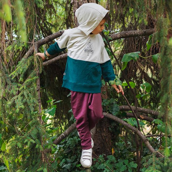 Organic cotton Color-Block Hooded Sweatshirt - Aged 6m to 7 Yrs-Colored Pine Green